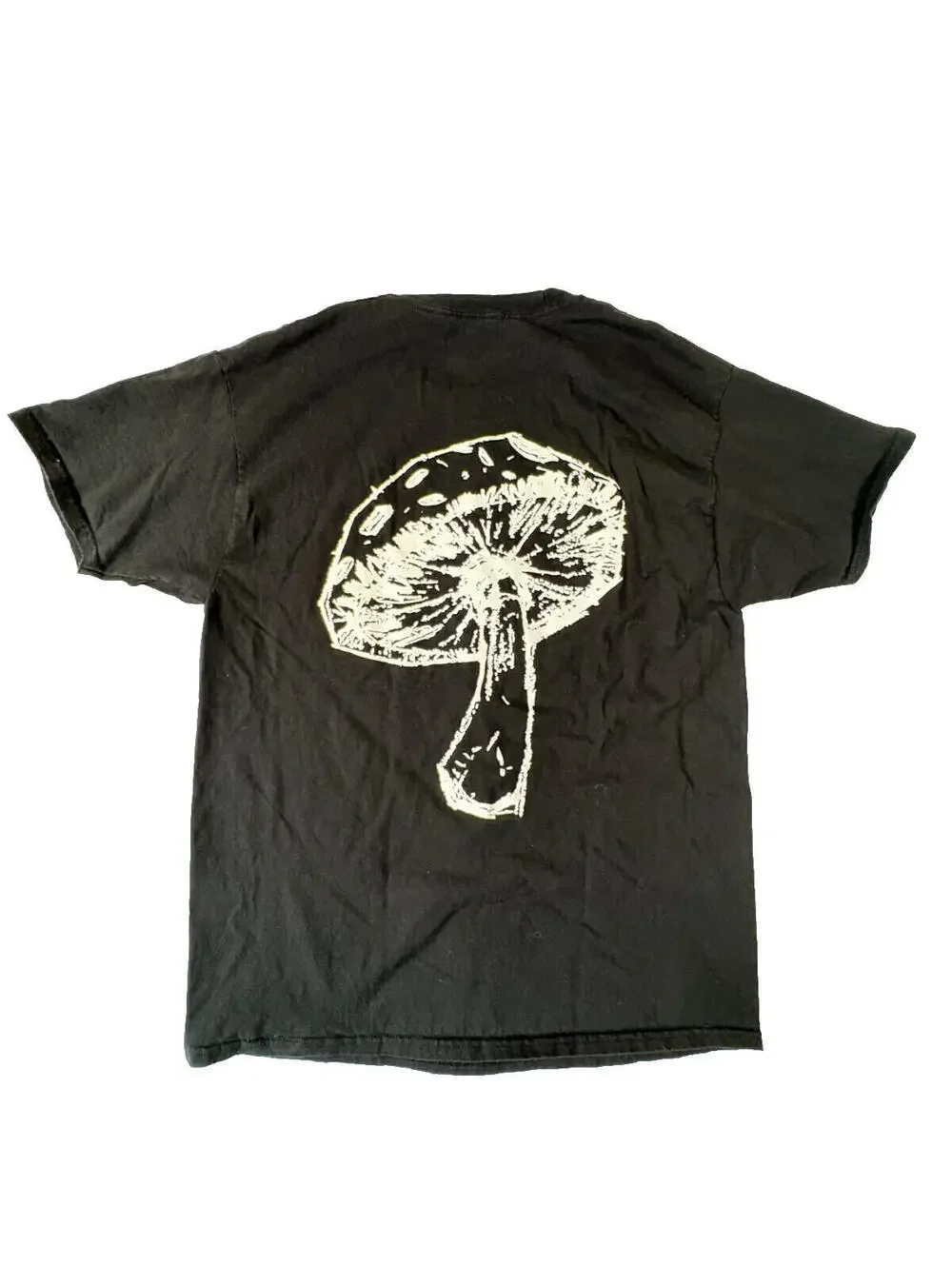 Champion Authentic Athleticwear TShirt "In My Head" Black Large - Picture 2 of 6